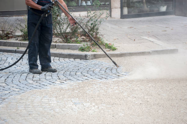 Best Driveway Pressure Washing  in Highland City, FL